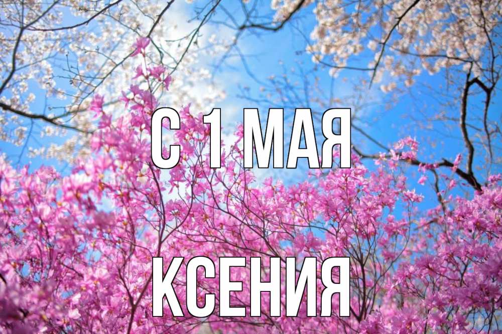 Открытка на каждый день с именем, Ксения С 1 мая С 1 мая Прикольная открытка с пожеланием онлайн скачать бесплатно 