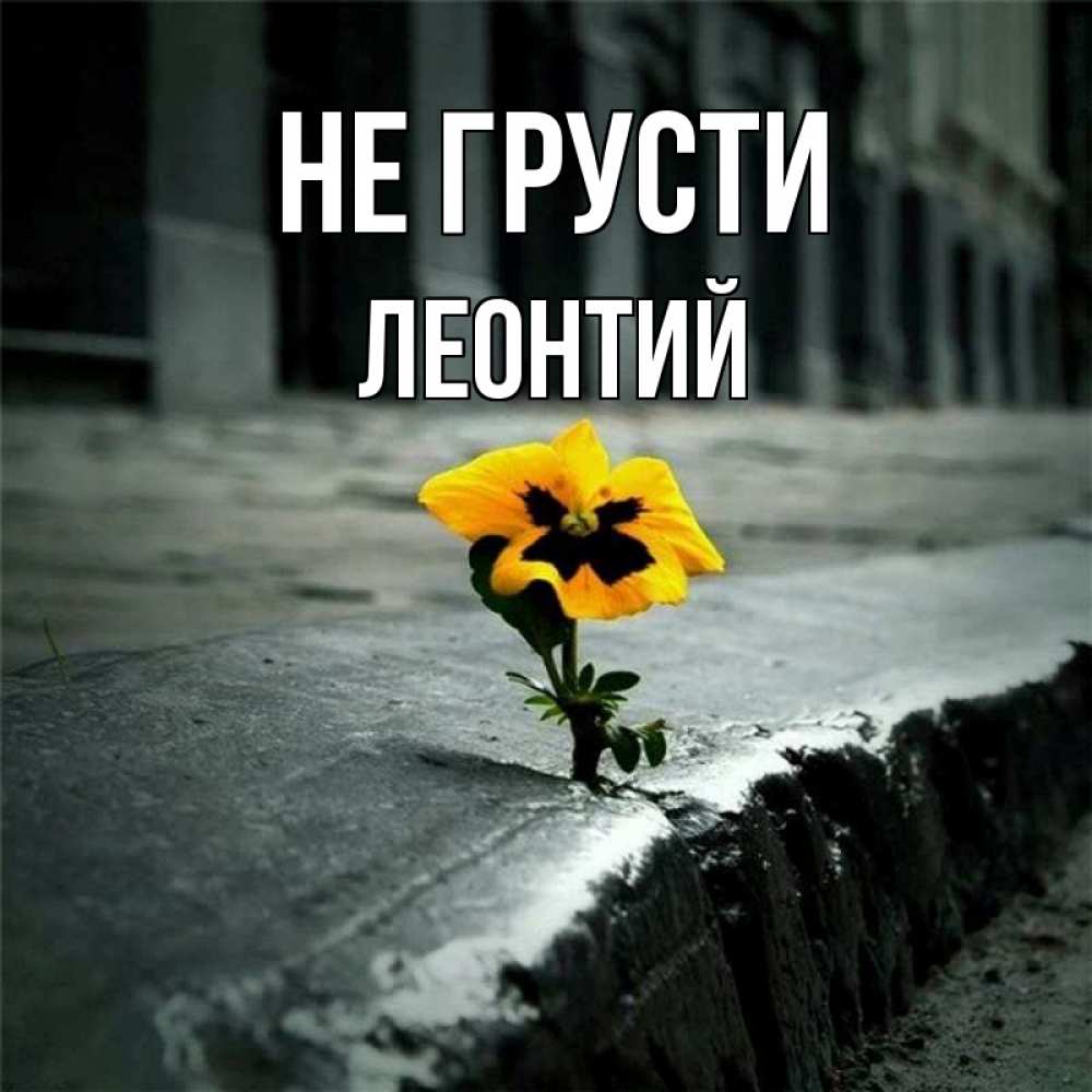 Открытка на каждый день с именем, Леонтий Не грусти не сдавайся Прикольная открытка с пожеланием онлайн скачать бесплатно 