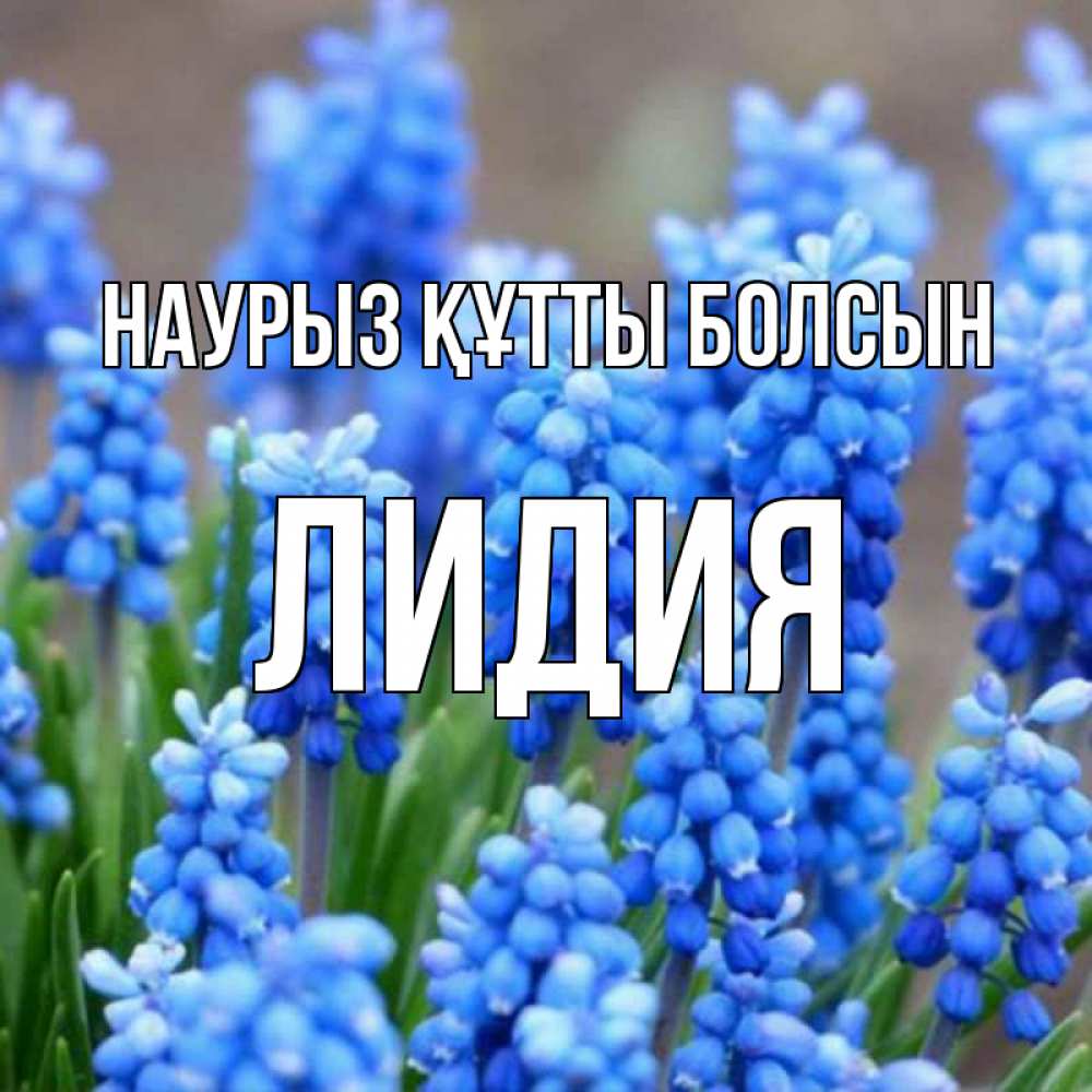 Открытка на каждый день с именем, Лидия Наурыз құтты болсын Поздравительная открытка для женщин с цветами на праздничную дату Прикольная открытка с пожеланием онлайн скачать бесплатно 