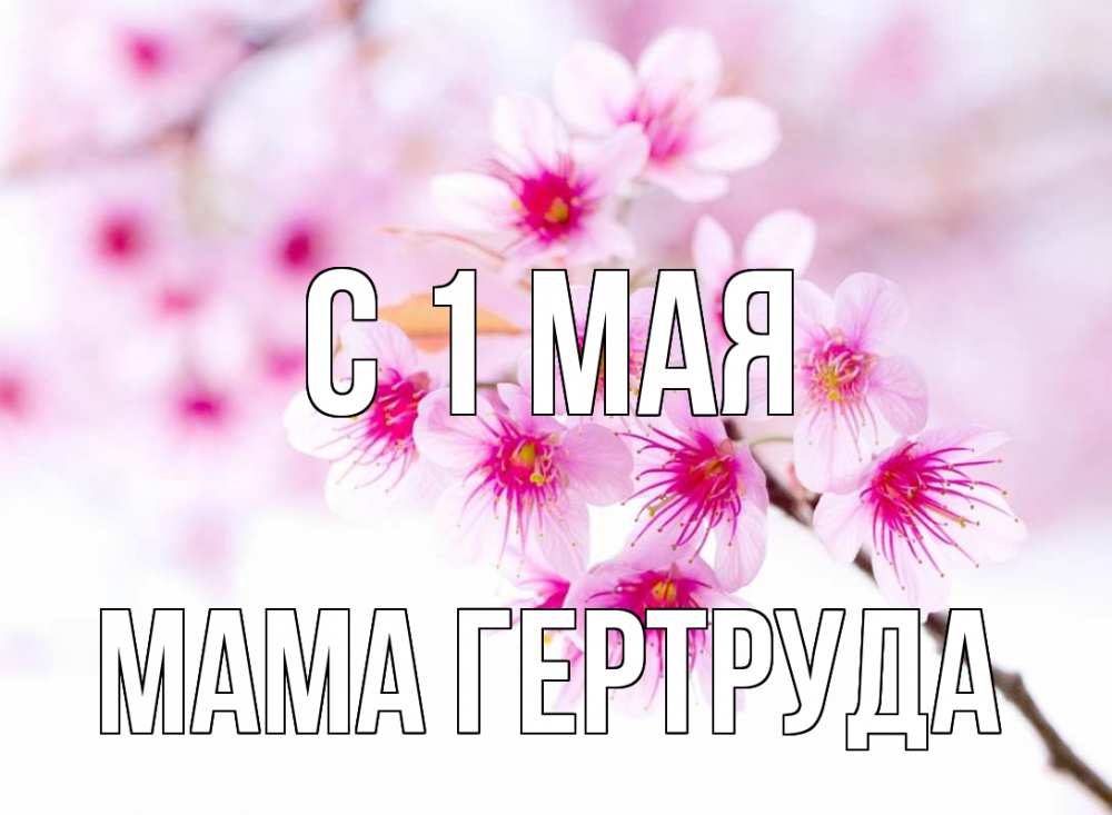Открытка на каждый день с именем, Мама-Гертруда С 1 мая С 1 мая 2 Прикольная открытка с пожеланием онлайн скачать бесплатно 