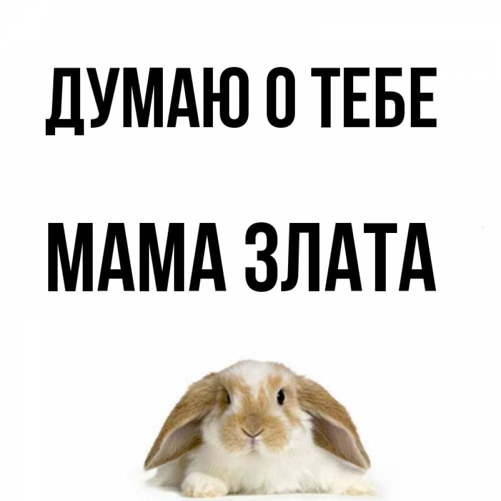 Открытка на каждый день с именем, Мама-Злата Думаю о тебе подписать своими руками онлайн Прикольная открытка с пожеланием онлайн скачать бесплатно 
