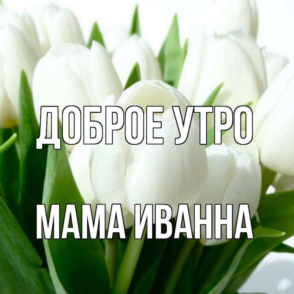 Открытка на каждый день с именем, Мама-Иванна Доброе утро открытки на каждый день по именам Прикольная открытка с пожеланием онлайн скачать бесплатно 
