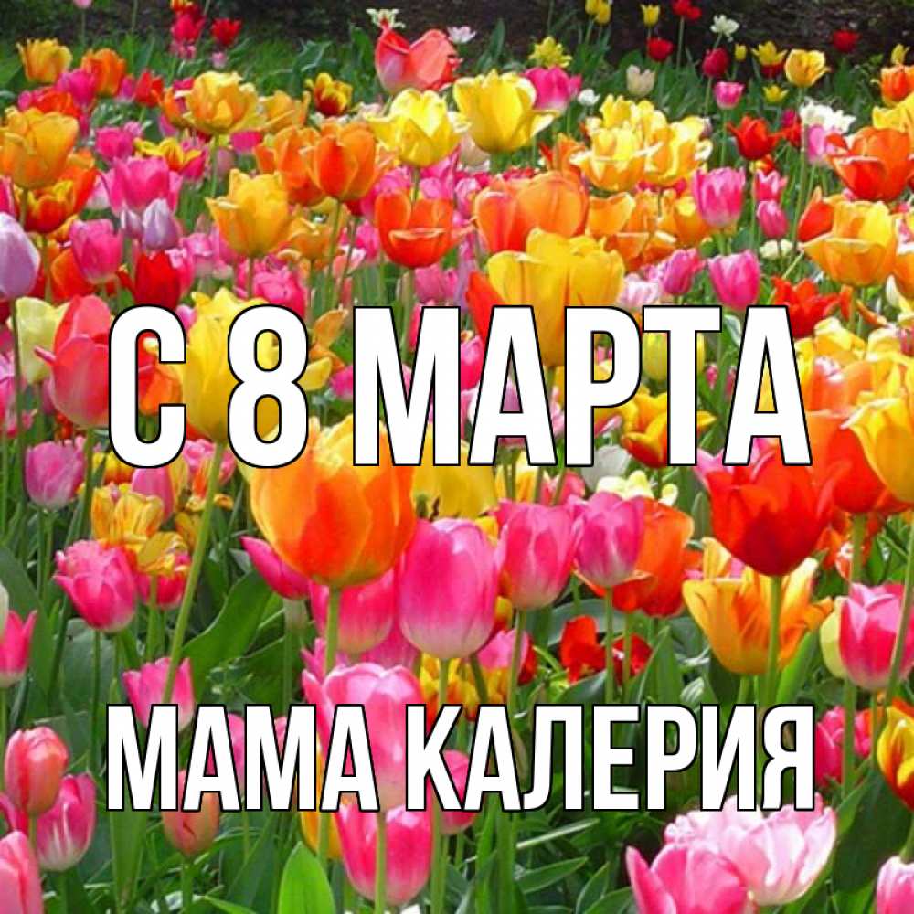 Открытка на каждый день с именем, Мама-Калерия С 8 МАРТА на международный женский день Прикольная открытка с пожеланием онлайн скачать бесплатно 