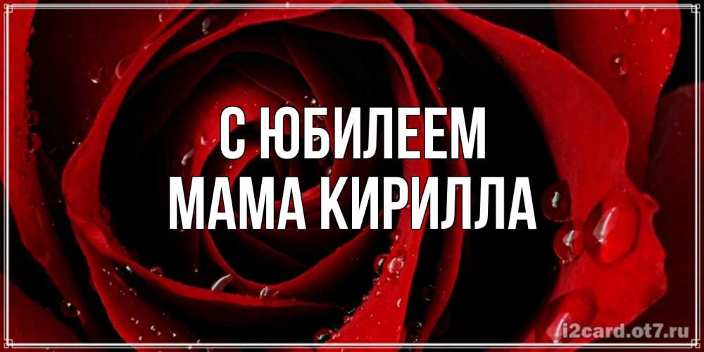 Открытка на каждый день с именем, Мама-Кирилла С юбилеем крупная бордовая роза Прикольная открытка с пожеланием онлайн скачать бесплатно 