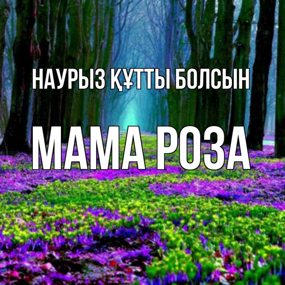 Открытка на каждый день с именем, Мама-Роза Наурыз құтты болсын фиолетовые цветы в лесу 1 Прикольная открытка с пожеланием онлайн скачать бесплатно 