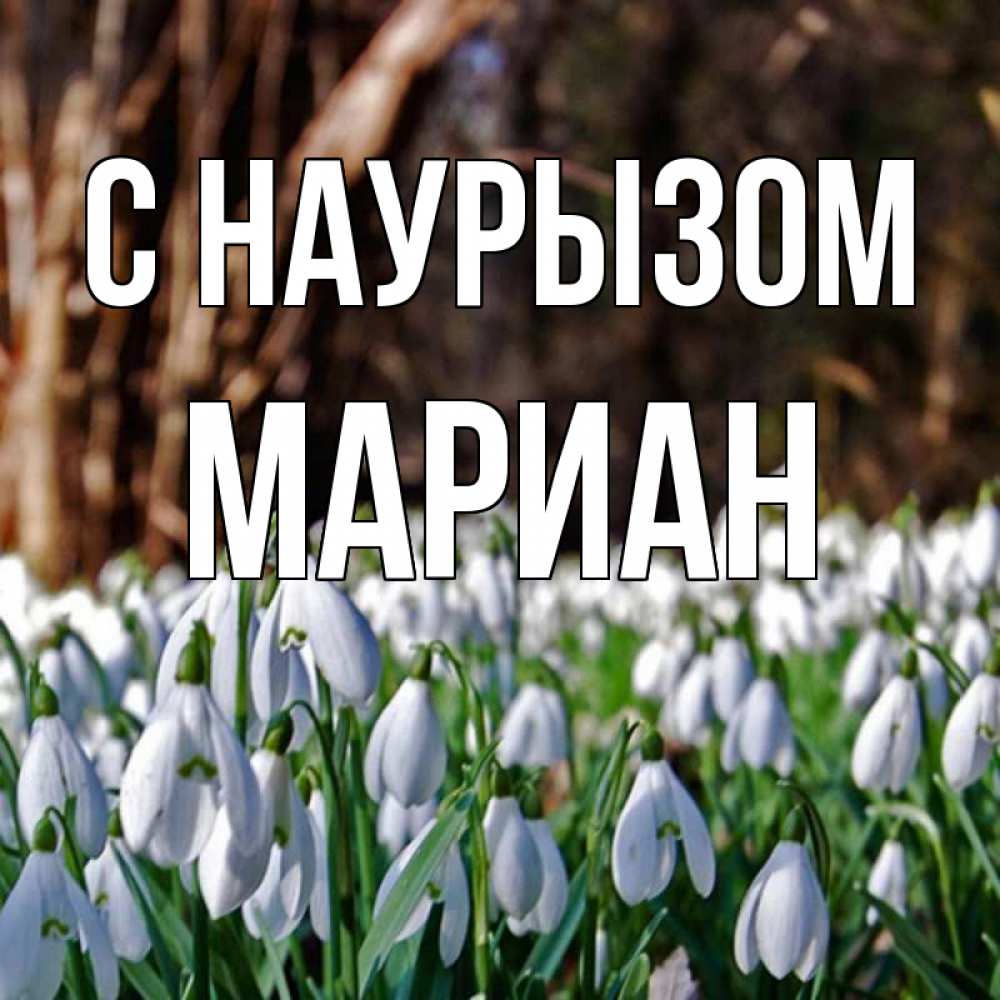 Открытка на каждый день с именем, Мариан С наурызом с подснежниками 1 Прикольная открытка с пожеланием онлайн скачать бесплатно 