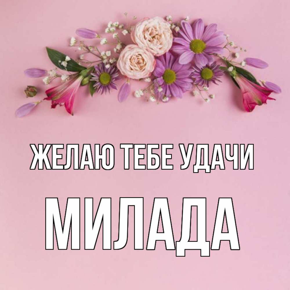 Открытка на каждый день с именем, Милада Желаю тебе удачи розовый фон Прикольная открытка с пожеланием онлайн скачать бесплатно 