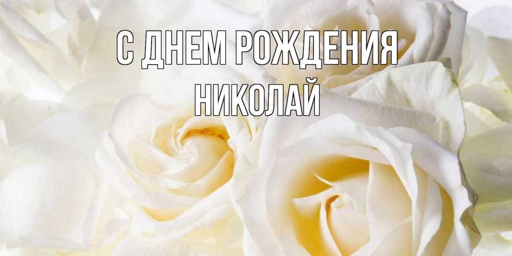 Открытка на каждый день с именем, Николай С днем рождения открыточки на день рождения любимым Прикольная открытка с пожеланием онлайн скачать бесплатно 