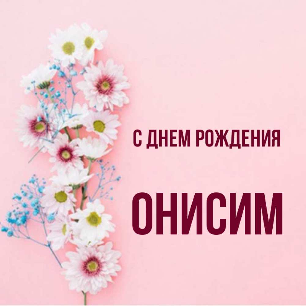 Открытка на каждый день с именем, Онисим С днем рождения Родная моя с днем рождения тебя картинка с цветами белыми и голубыми Прикольная открытка с пожеланием онлайн скачать бесплатно 