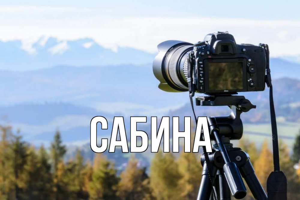 Открытка на каждый день с именем, Сабина Главная с днем фотографа Прикольная открытка с пожеланием онлайн скачать бесплатно 
