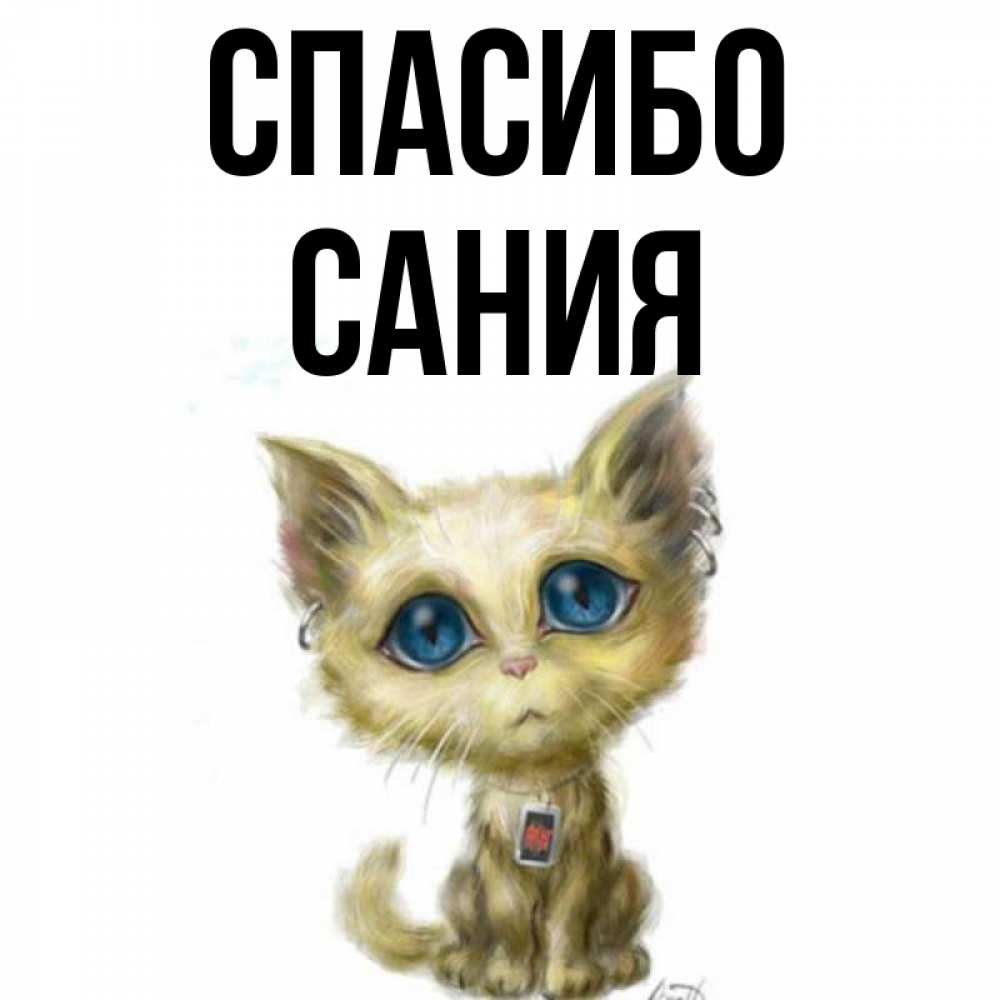 Открытка на каждый день с именем, Сания Спасибо рисованный кот благодарит вас Прикольная открытка с пожеланием онлайн скачать бесплатно 