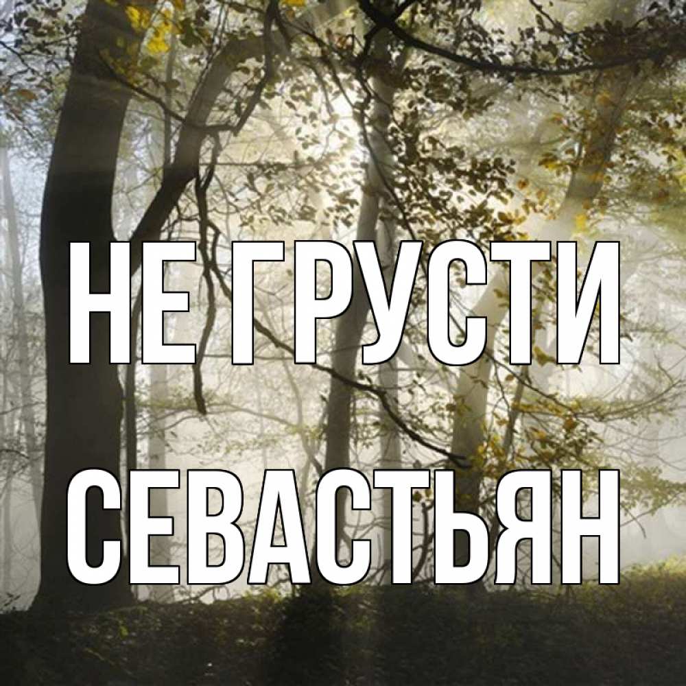 Открытка на каждый день с именем, Севастьян Не грусти лес и свет Прикольная открытка с пожеланием онлайн скачать бесплатно 