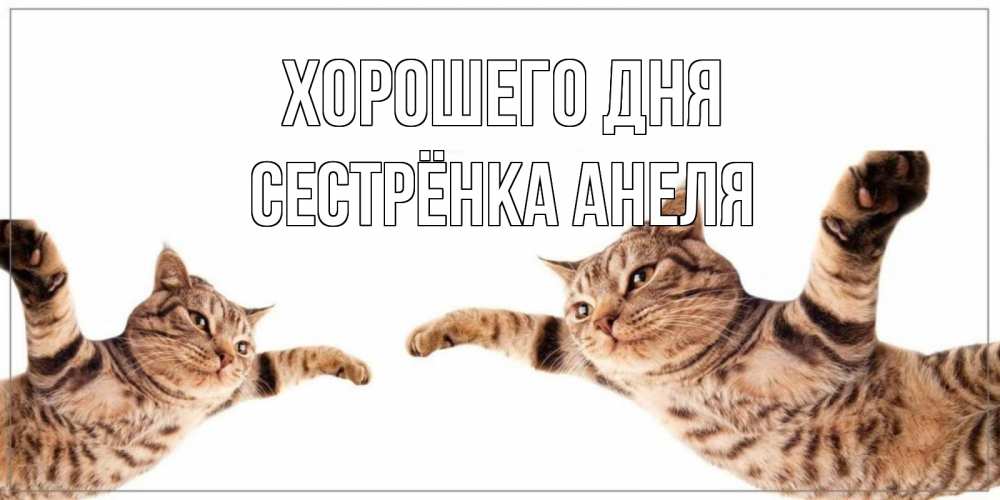 Открытка на каждый день с именем, Сестрёнка-Анеля Хорошего дня хорошего дня Прикольная открытка с пожеланием онлайн скачать бесплатно 