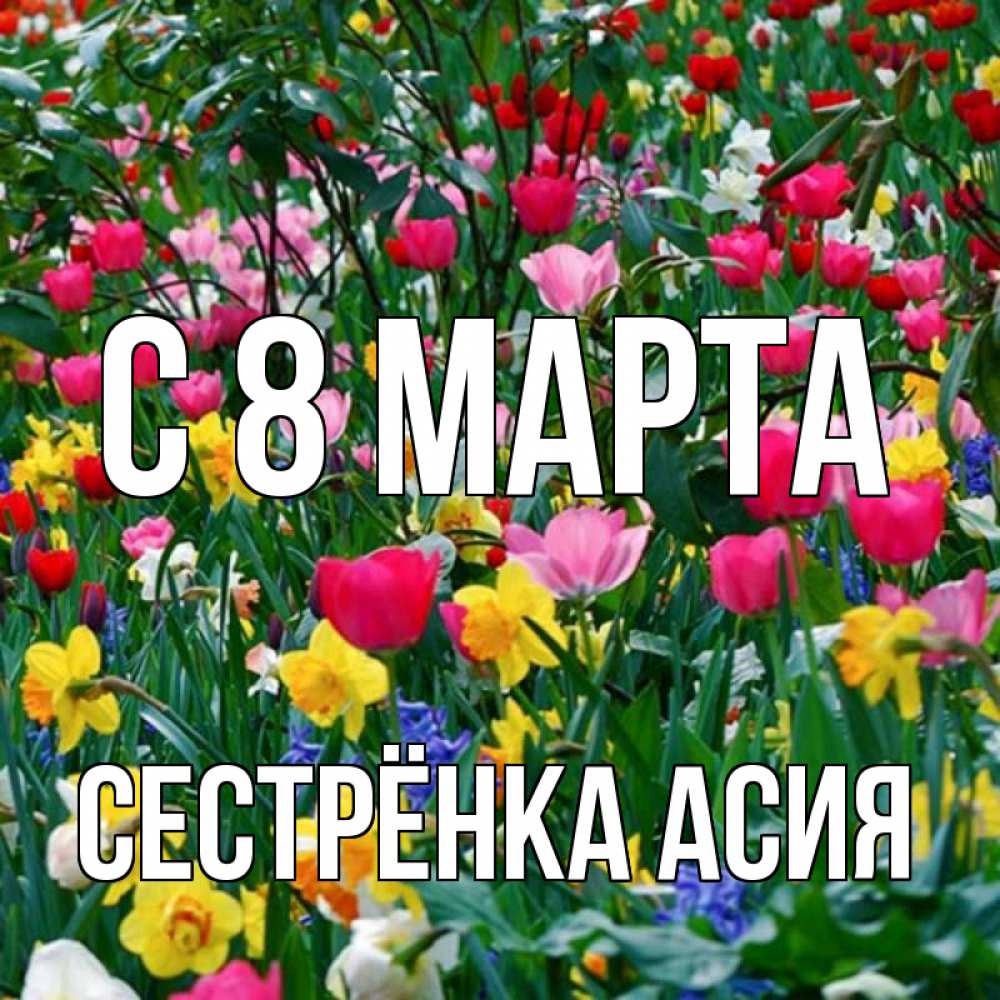 Открытка на каждый день с именем, Сестрёнка-Асия С 8 марта с международным женским днем поздравления для женщины Прикольная открытка с пожеланием онлайн скачать бесплатно 