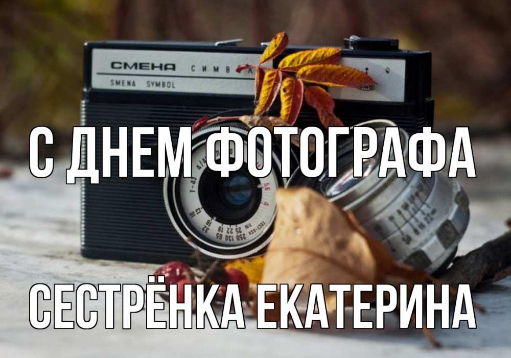 Открытка на каждый день с именем, Сестрёнка-Екатерина С днем фотографа с днем фотографа Прикольная открытка с пожеланием онлайн скачать бесплатно 