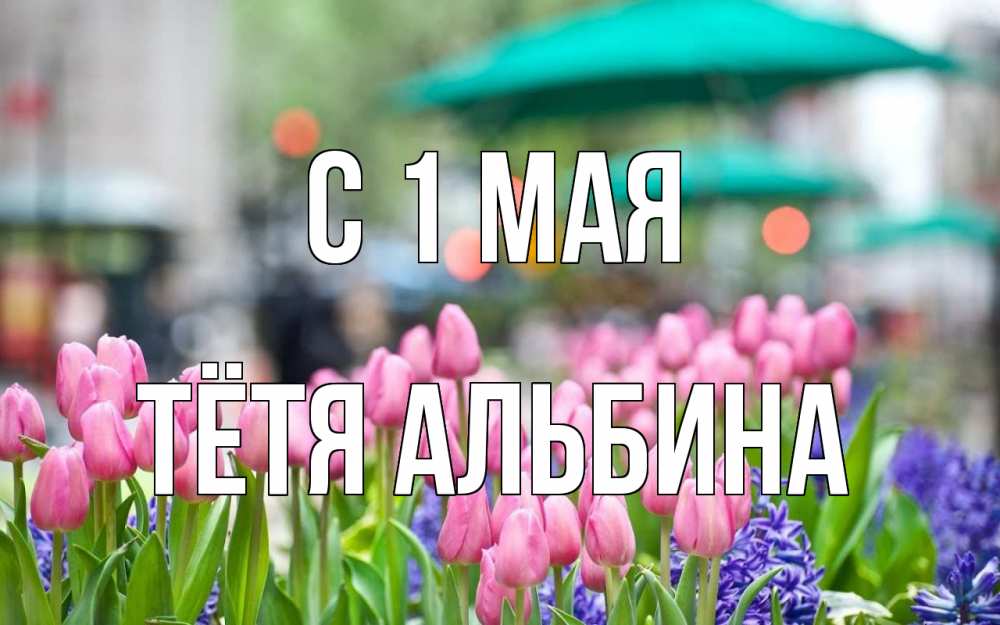 Открытка на каждый день с именем, Тётя-Альбина С 1 мая С 1 мая Прикольная открытка с пожеланием онлайн скачать бесплатно 