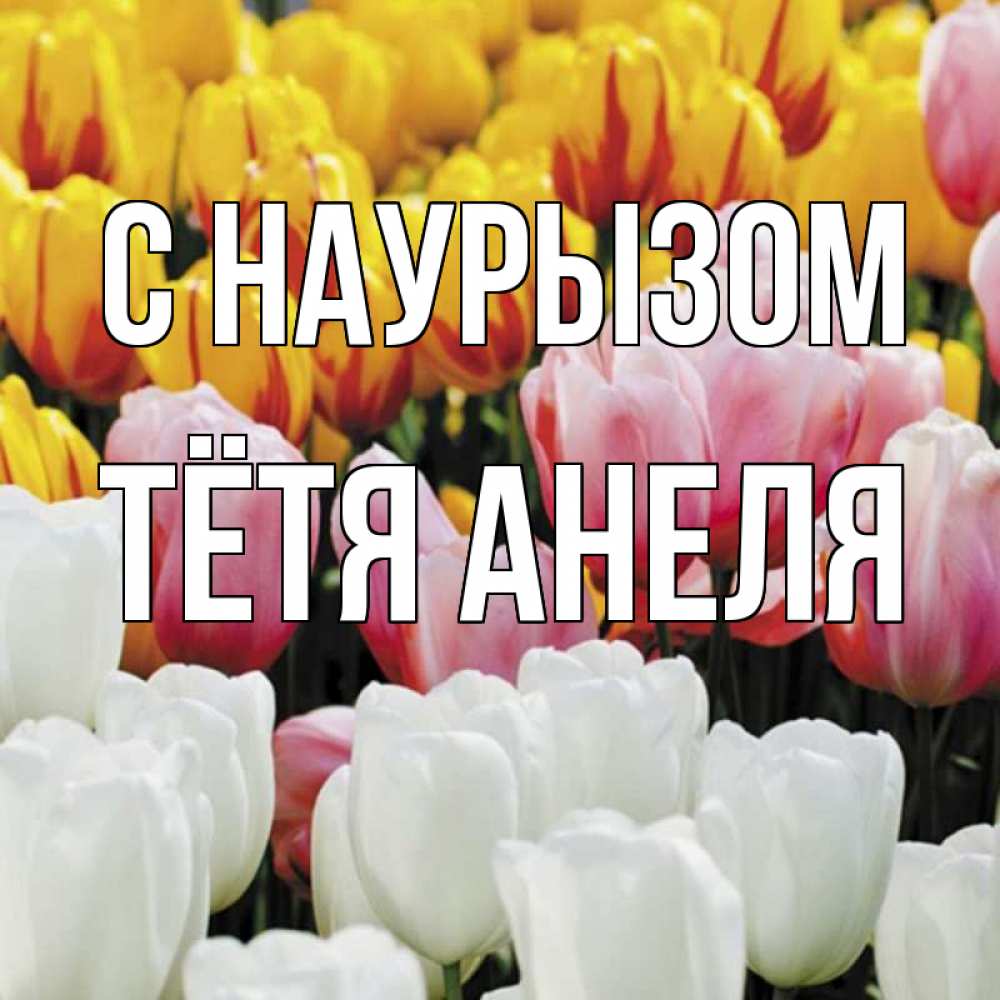 Открытка на каждый день с именем, Тётя-Анеля С наурызом разноцветные цветы Прикольная открытка с пожеланием онлайн скачать бесплатно 