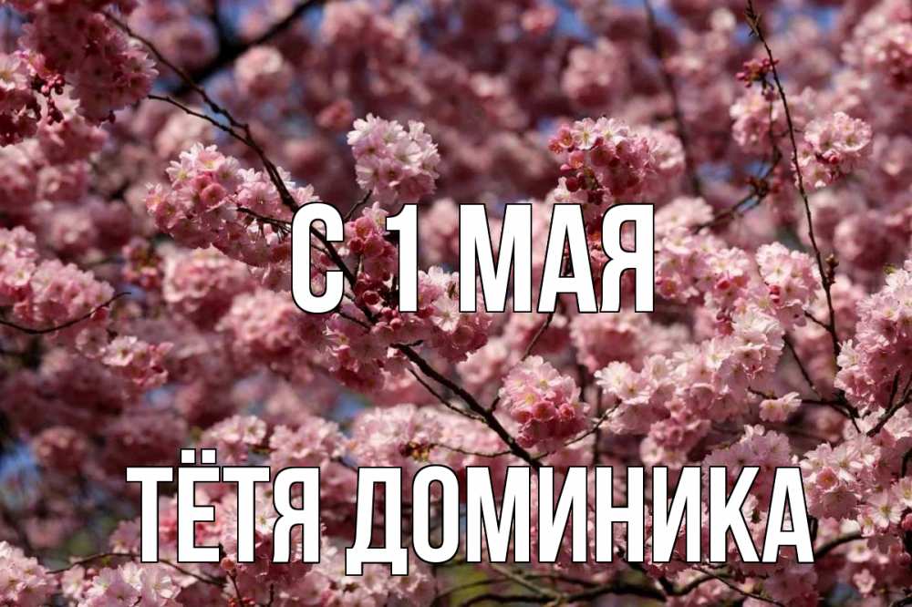 Открытка на каждый день с именем, Тётя-Доминика С 1 мая С 1 мая Прикольная открытка с пожеланием онлайн скачать бесплатно 
