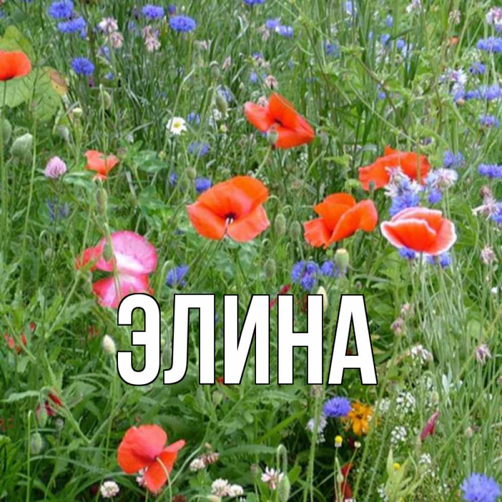 Открытка на каждый день с именем, Элина Главная международный женский день 4 Прикольная открытка с пожеланием онлайн скачать бесплатно 