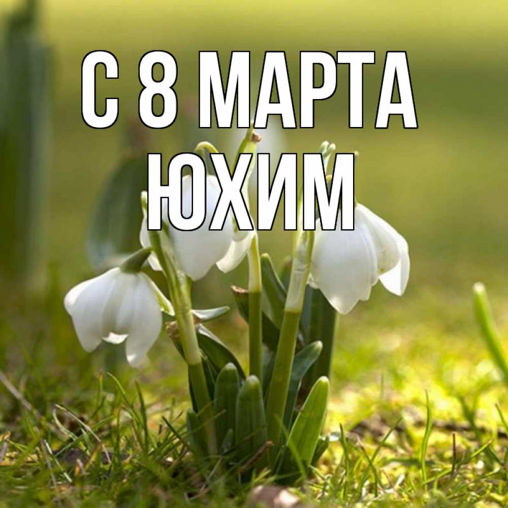 Открытка на каждый день с именем, Юхим С 8 МАРТА ранние цветы 2 Прикольная открытка с пожеланием онлайн скачать бесплатно 
