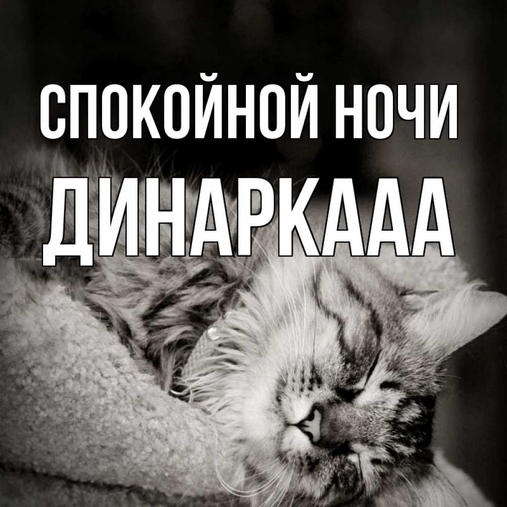 Картинки спокойной ночи игорек