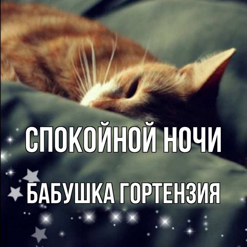 Открытка на каждый день с именем, Бабушка-Гортензия Спокойной ночи кроватка Прикольная открытка с пожеланием онлайн скачать бесплатно 