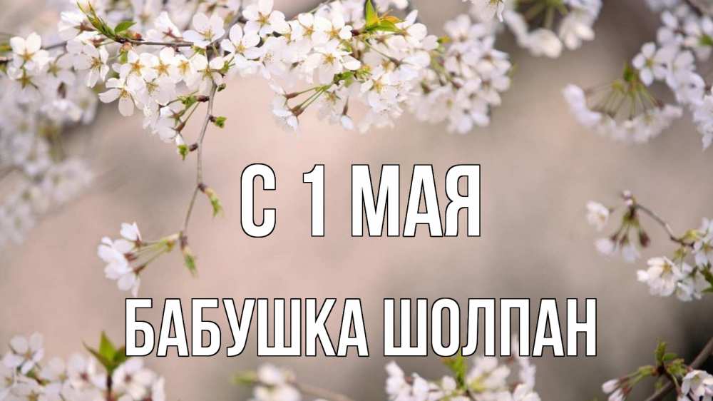 Открытка на каждый день с именем, Бабушка-Шолпан С 1 мая С 1 мая Прикольная открытка с пожеланием онлайн скачать бесплатно 