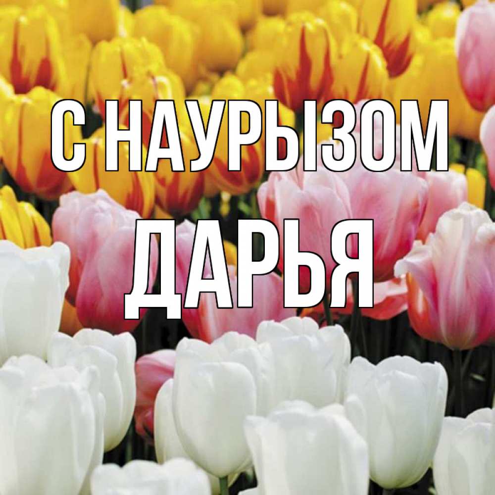 Открытка на каждый день с именем, Дарья С наурызом разноцветные цветы Прикольная открытка с пожеланием онлайн скачать бесплатно 