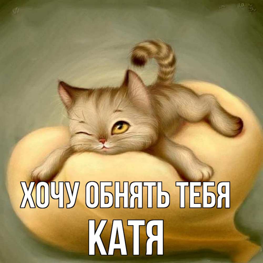 Открытка на каждый день с именем, Катя Хочу обнять тебя кошечка Прикольная открытка с пожеланием онлайн скачать бесплатно 
