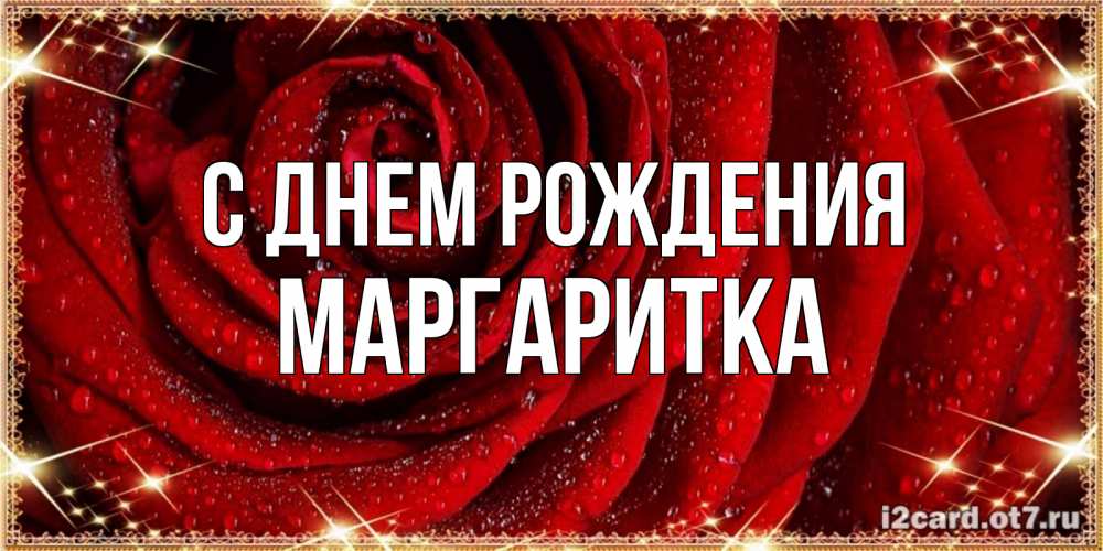 Открытка на каждый день с именем, МАРГАРИТКА С днем рождения роса на розе блестящая в лучах солнца Прикольная открытка с пожеланием онлайн скачать бесплатно 