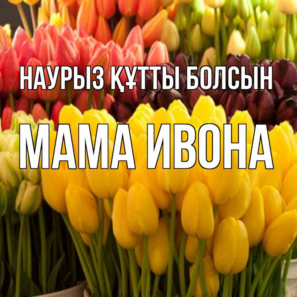 Открытка на каждый день с именем, Мама-Ивона Наурыз құтты болсын цветы Прикольная открытка с пожеланием онлайн скачать бесплатно 