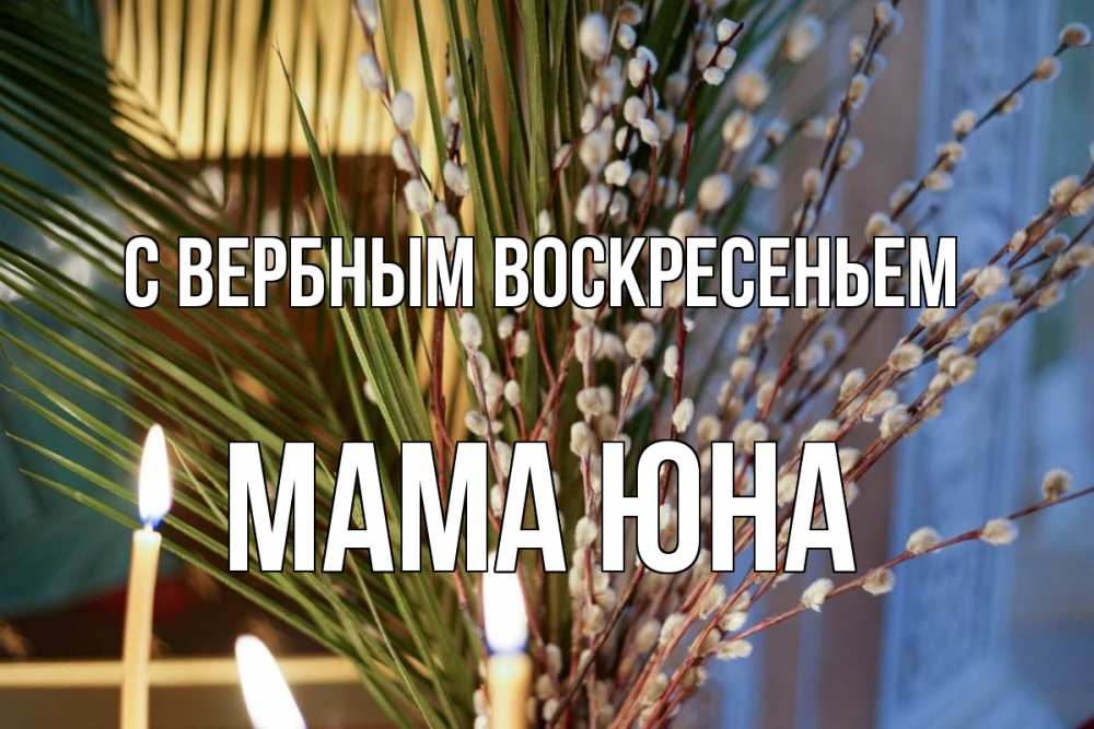 Открытка на каждый день с именем, Мама-Юна С вербным воскресеньем верба Прикольная открытка с пожеланием онлайн скачать бесплатно 