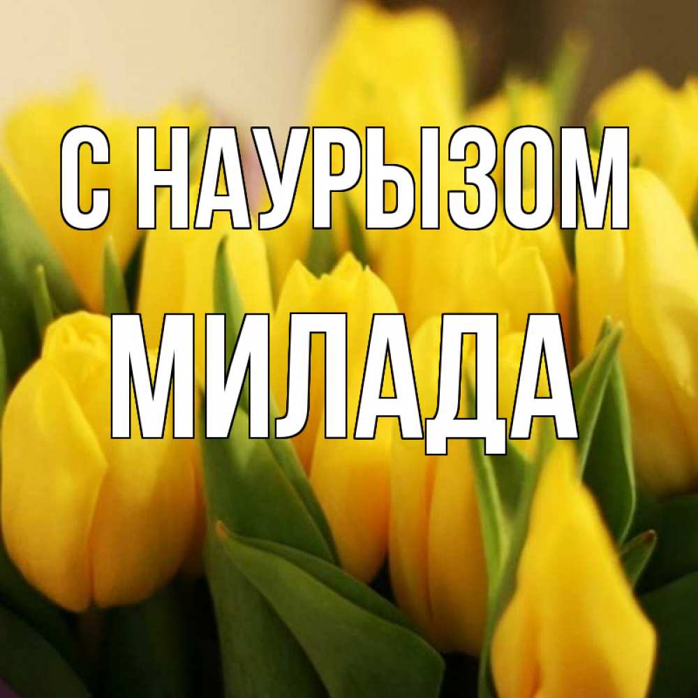 Открытка на каждый день с именем, Милада С наурызом цветы Прикольная открытка с пожеланием онлайн скачать бесплатно 