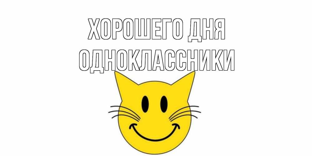 Открытка на каждый день с именем, ОДНОКЛАССНИКИ Хорошего дня открытка с котом Прикольная открытка с пожеланием онлайн скачать бесплатно 