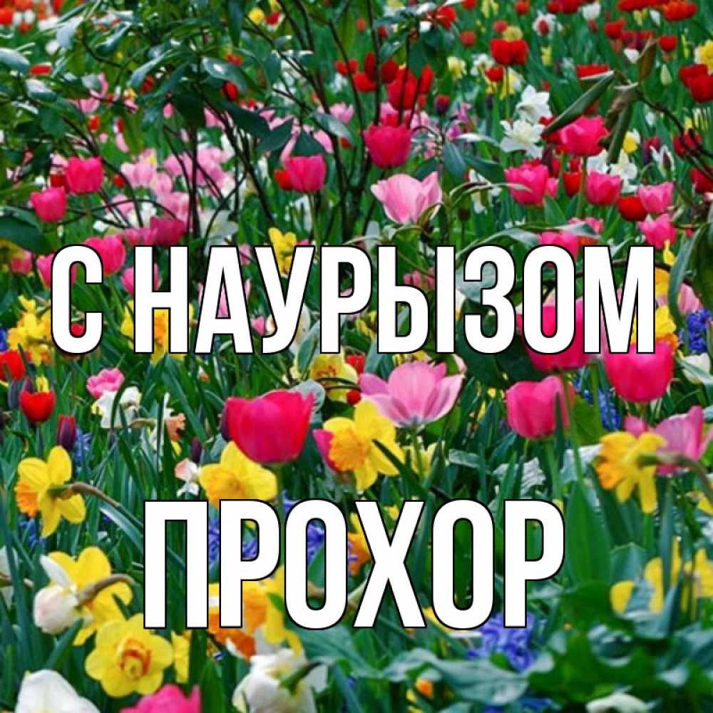 Открытка на каждый день с именем, Прохор С наурызом с наурызом праздником весны поздравления для женщины Прикольная открытка с пожеланием онлайн скачать бесплатно 