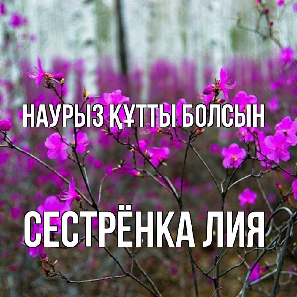 Открытка на каждый день с именем, Сестрёнка-Лия Наурыз құтты болсын дикие цветы Прикольная открытка с пожеланием онлайн скачать бесплатно 