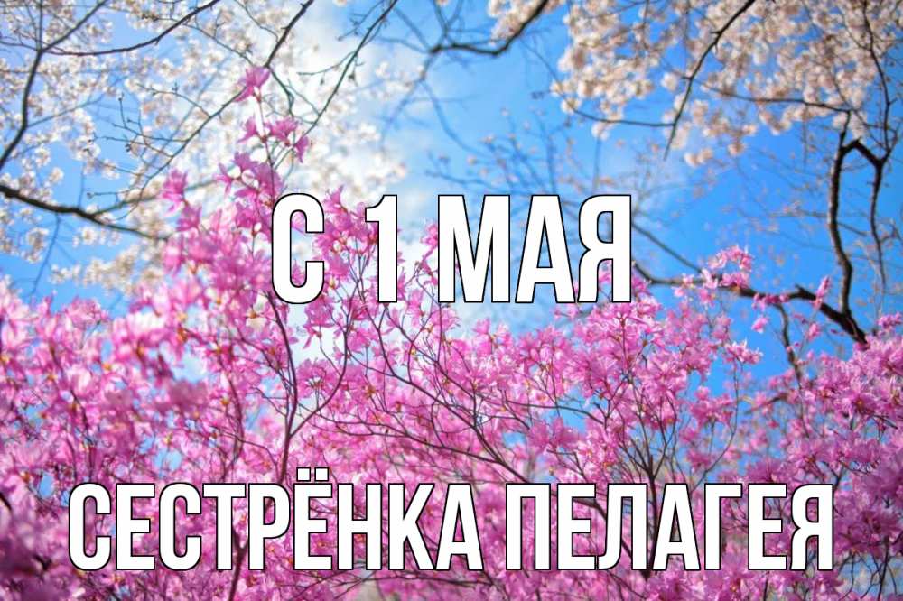 Открытка на каждый день с именем, Сестрёнка-Пелагея С 1 мая С 1 мая Прикольная открытка с пожеланием онлайн скачать бесплатно 