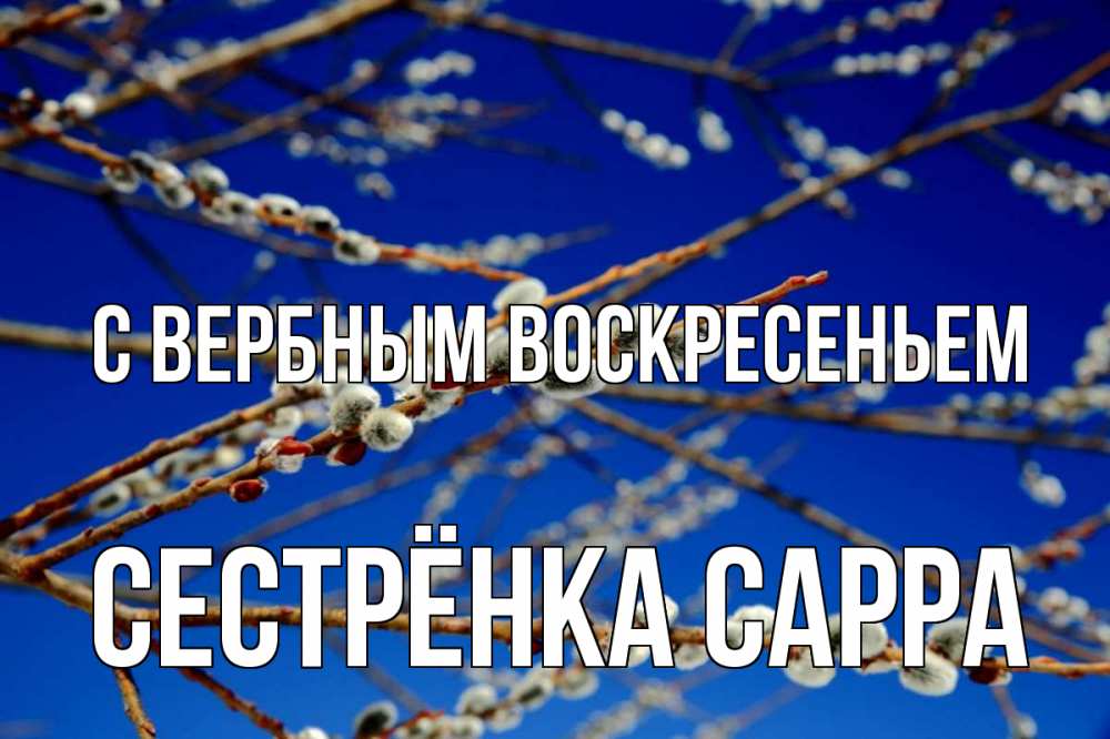 Открытка на каждый день с именем, Сестрёнка-Сарра С вербным воскресеньем верба Прикольная открытка с пожеланием онлайн скачать бесплатно 
