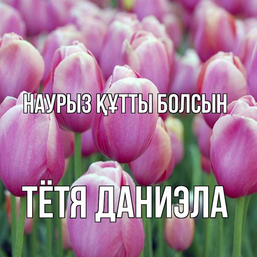Открытка на каждый день с именем, Тётя-Даниэла Наурыз құтты болсын на наурыз  день 3 Прикольная открытка с пожеланием онлайн скачать бесплатно 