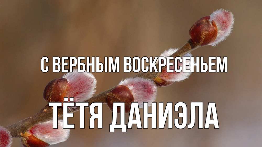 Открытка на каждый день с именем, Тётя-Даниэла С вербным воскресеньем верба Прикольная открытка с пожеланием онлайн скачать бесплатно 