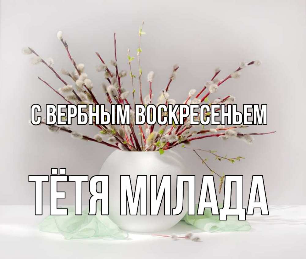 Открытка на каждый день с именем, Тётя-Милада С вербным воскресеньем верба Прикольная открытка с пожеланием онлайн скачать бесплатно 