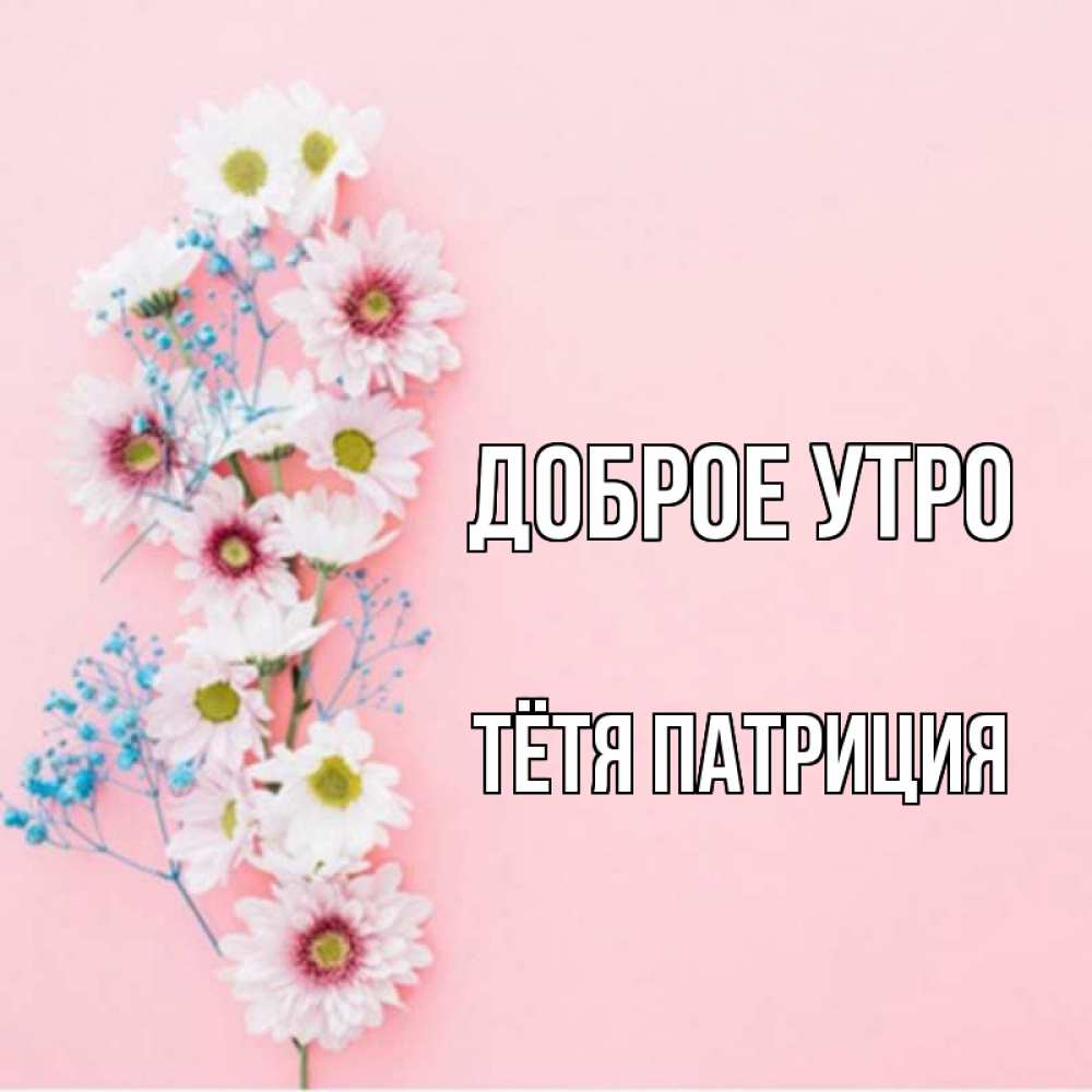 Открытка на каждый день с именем, Тётя-Патриция Доброе утро цветы с подписью Прикольная открытка с пожеланием онлайн скачать бесплатно 