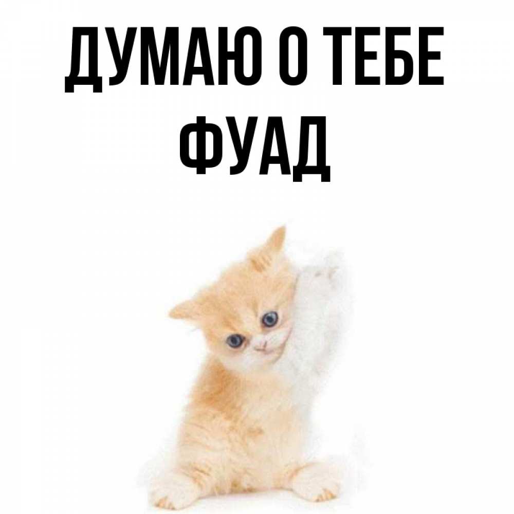 Открытка на каждый день с именем, Фуад Думаю о тебе зверушки и милота Прикольная открытка с пожеланием онлайн скачать бесплатно 