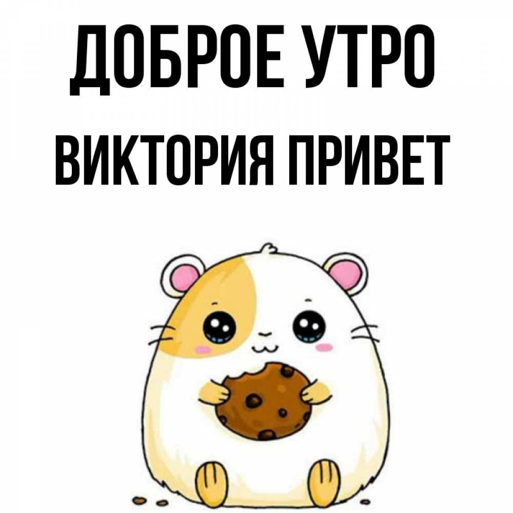 С приветом виктория