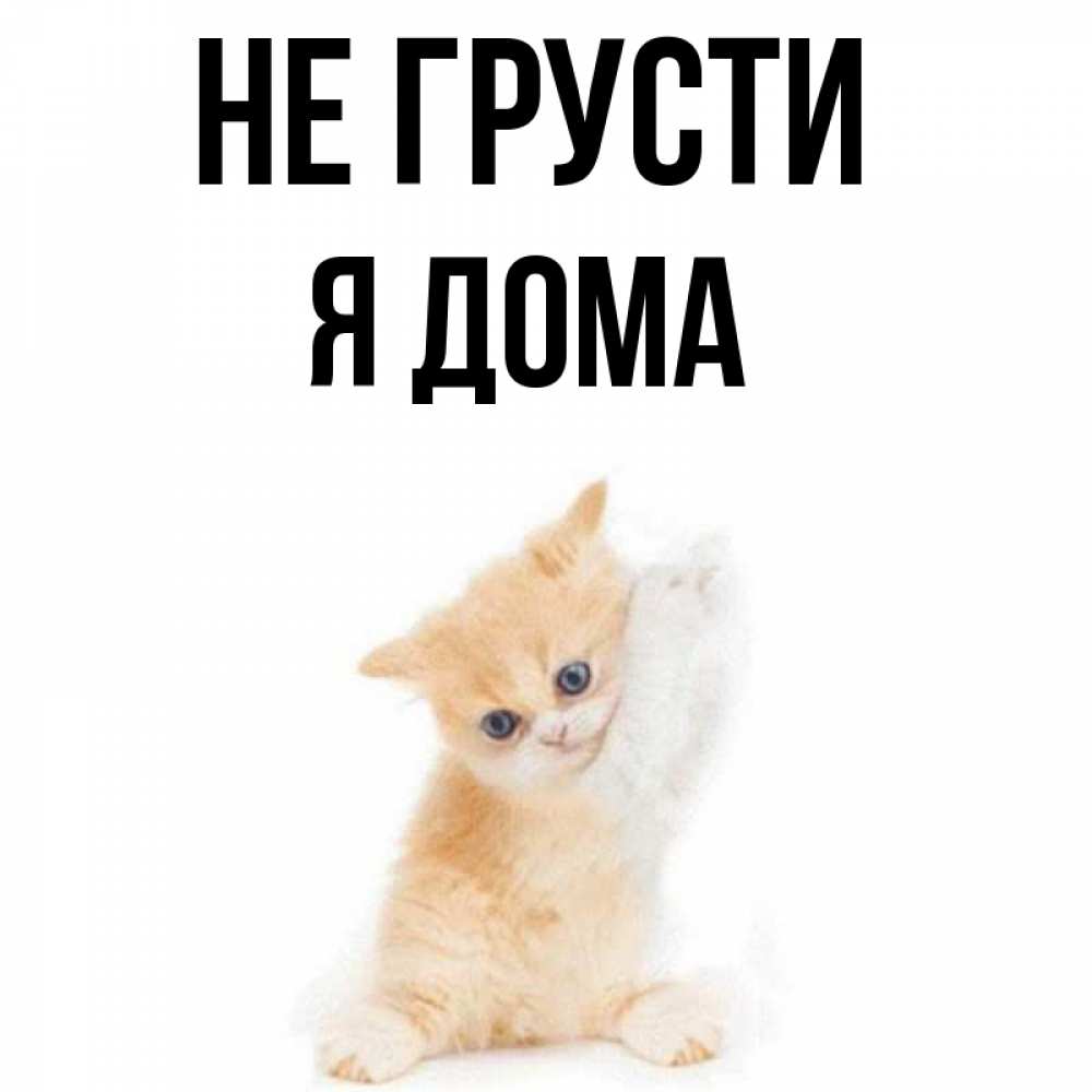 прелести семейной картинки не грусти я рядом меня любая экономия