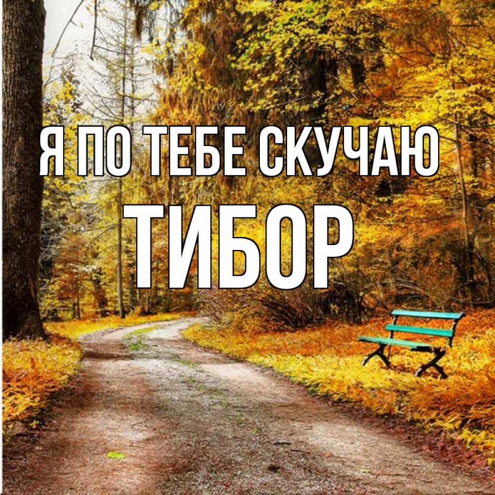 Скучаю по тебе книга