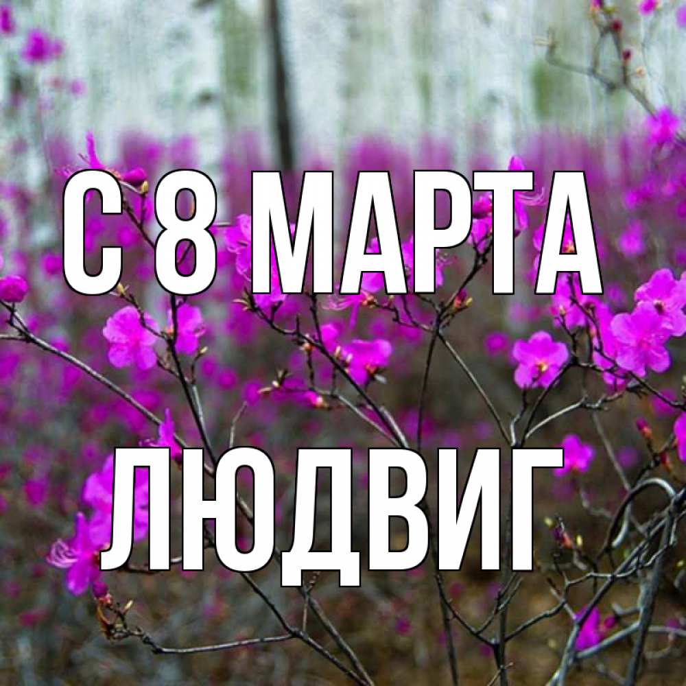 Открытка на каждый день с именем, Людвиг С 8 марта дикие цветы Прикольная открытка с пожеланием онлайн скачать бесплатно 
