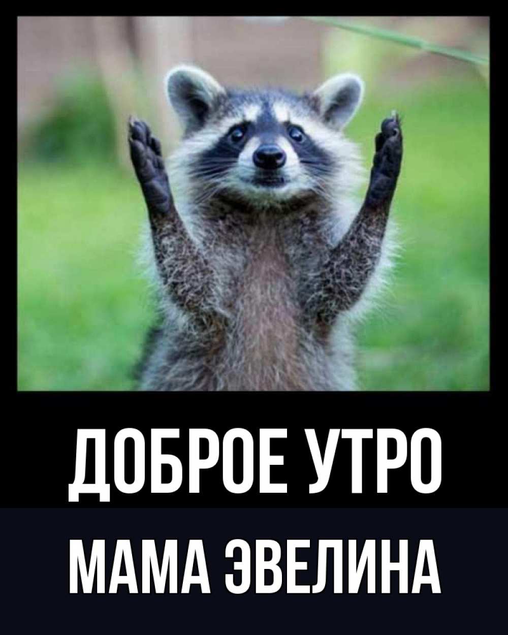 Открытка на каждый день с именем, Мама-Эвелина Доброе утро хорошее настроение утречком Прикольная открытка с пожеланием онлайн скачать бесплатно 