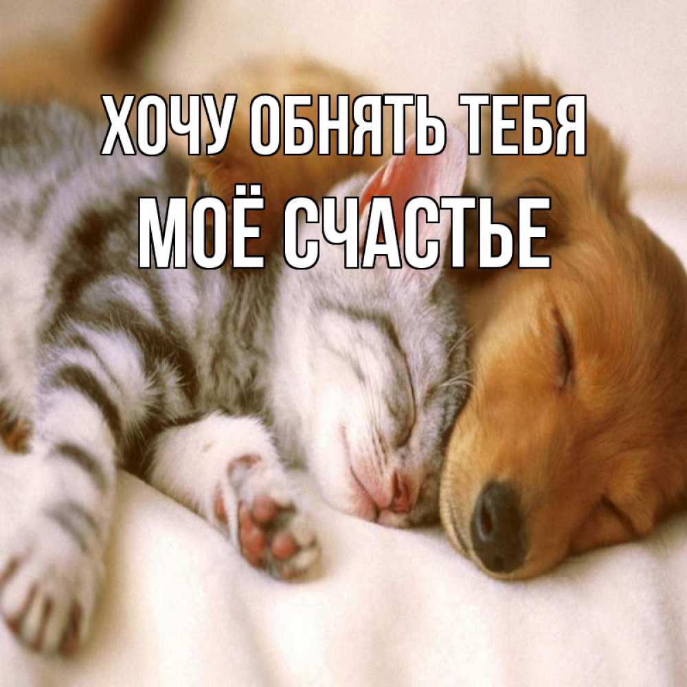 Картинка Хочу обнять тебя, Моё счастье
