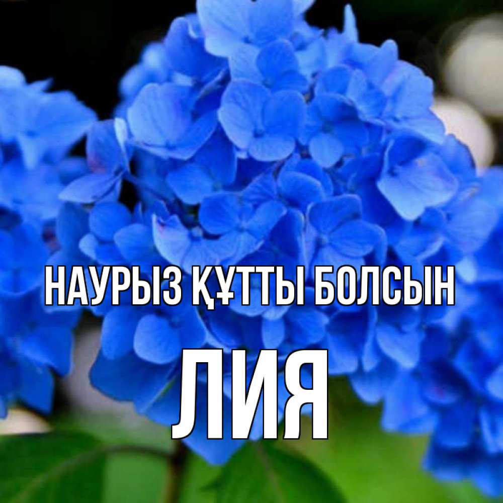 Открытка на каждый день с именем, Лия Наурыз құтты болсын синие цветы Прикольная открытка с пожеланием онлайн скачать бесплатно 